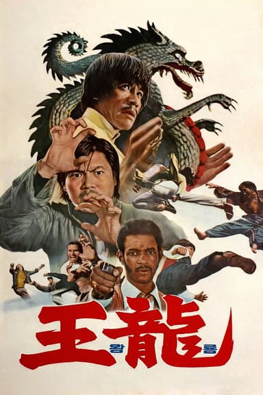 Deadly Kick poster