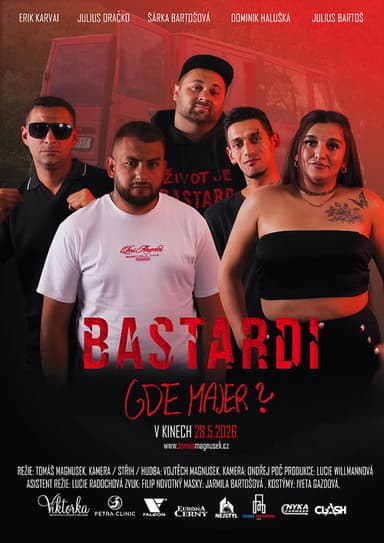Bastardi: Gde Majer? poster