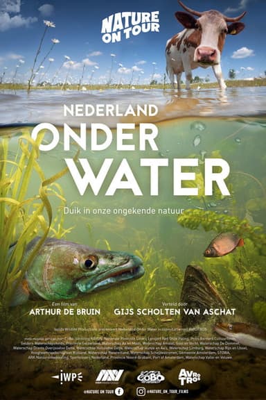 The Netherlands under water poster