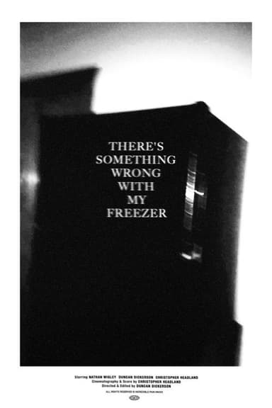 There's Something Wrong With My Freezer poster