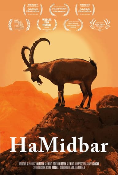 HaMidbar poster