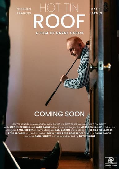 Hot Tin Roof poster