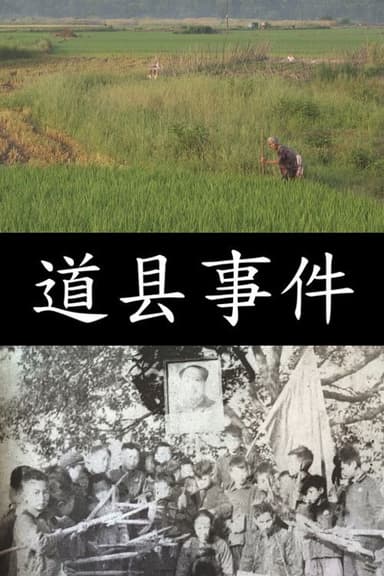 The Daoxian Incident poster