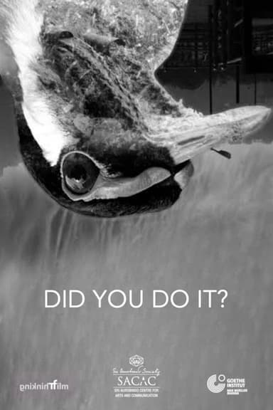 Did You Do It? poster