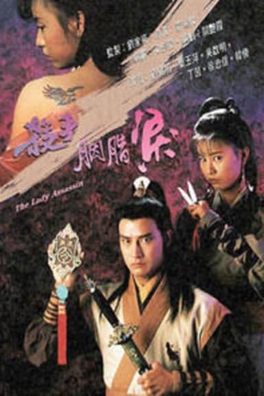 The Lady Assassin poster