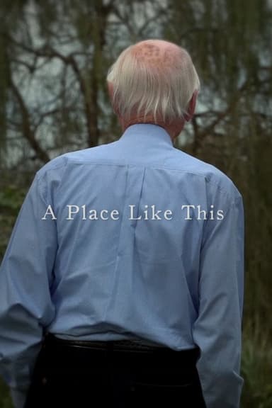 A Place Like This poster