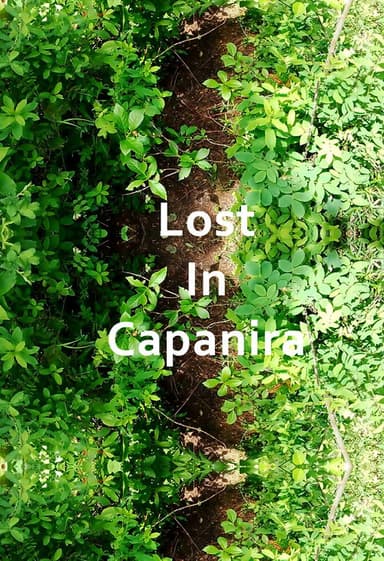 Lost In Capanira poster