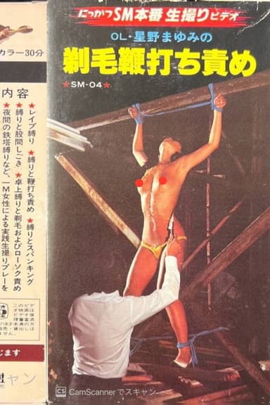 OL Mayumi Hoshino: Shaved Hair Whipping Torture poster