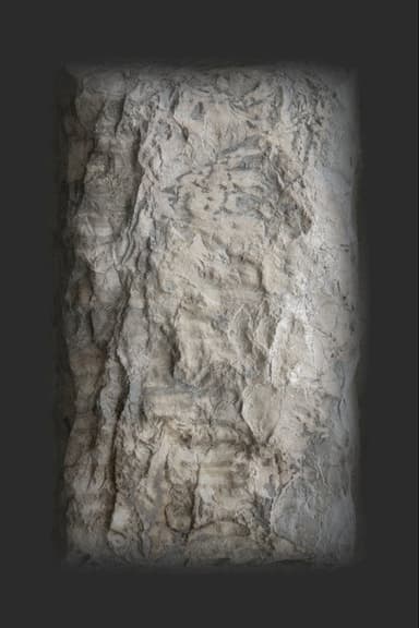 Dream poster