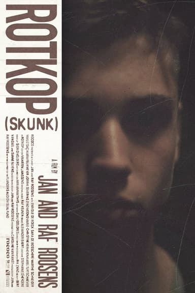 Skunk poster