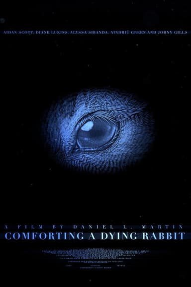 Comforting A Dying Rabbit poster