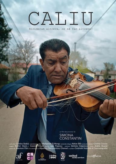 Caliu: Nothing Else, What More Could I Do? poster