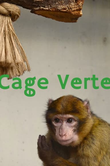 Cage Verte poster