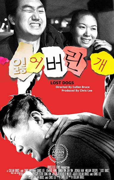 Lost Dogs poster