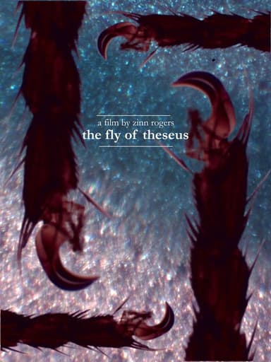 The Fly of Theseus poster