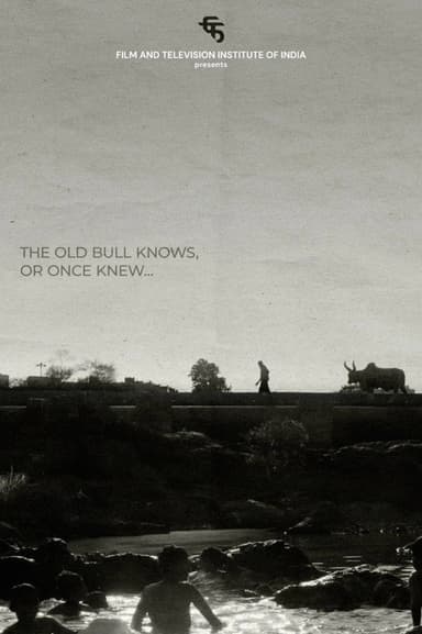 The Old Bull knows, or Once Knew poster
