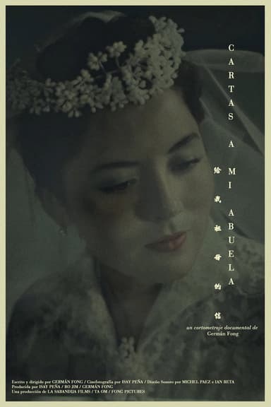 Letters to my Grandma poster