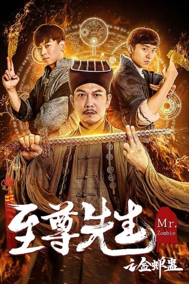 Mr. Zombie 3 poster