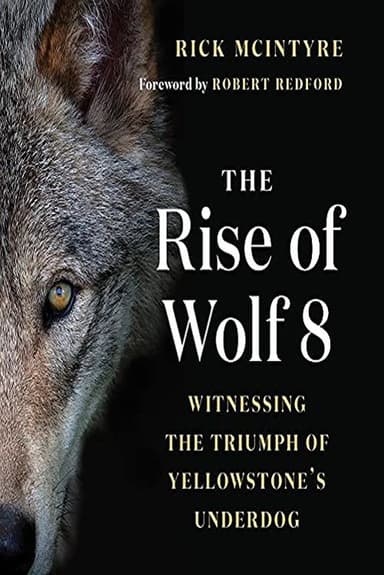 The Alpha Wolves of Yellowstone poster
