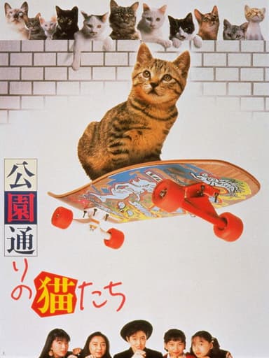 Cats on Park Avenue poster