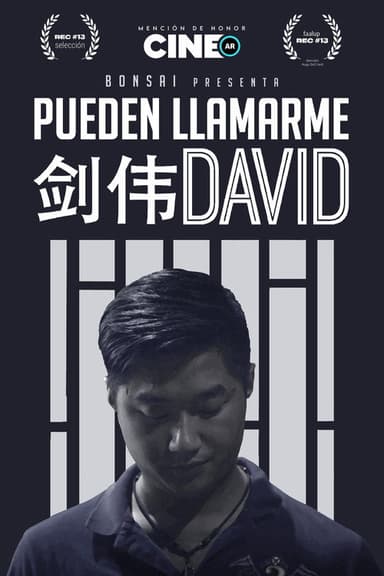 You May Call Me David poster