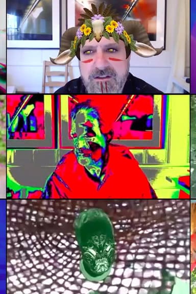 Zoom Meetings (with myself) poster