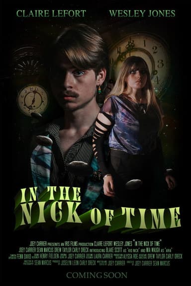 In The Nick Of Time poster