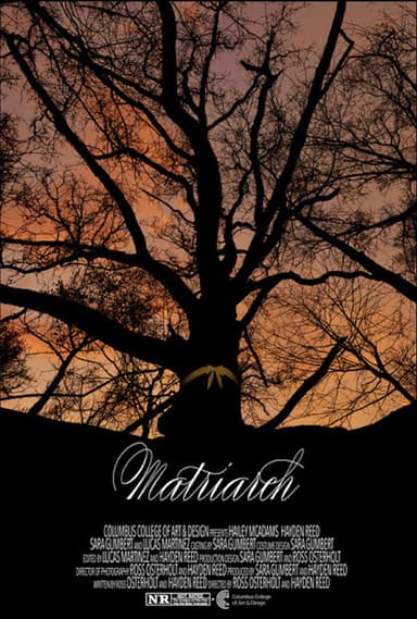 Matriarch poster