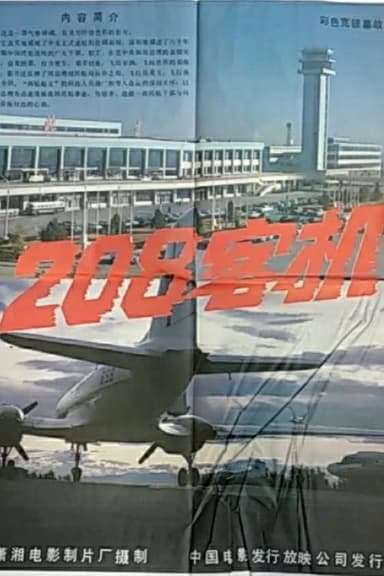 208 Aircraft poster