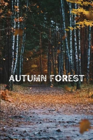 Autumn Forest poster
