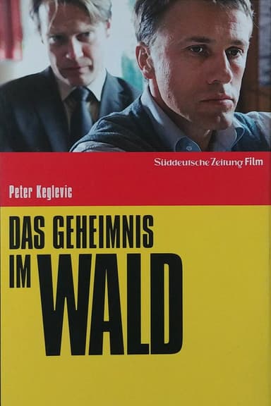 Das Geheimnis im Wald poster