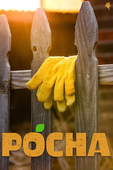 Pocha poster