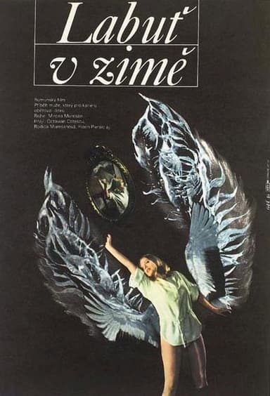 A Swan in Winter poster