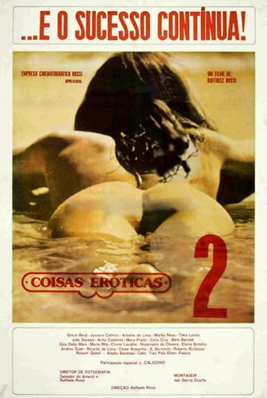 Erotic Things II poster