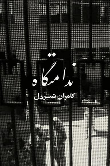 Women's Prison poster