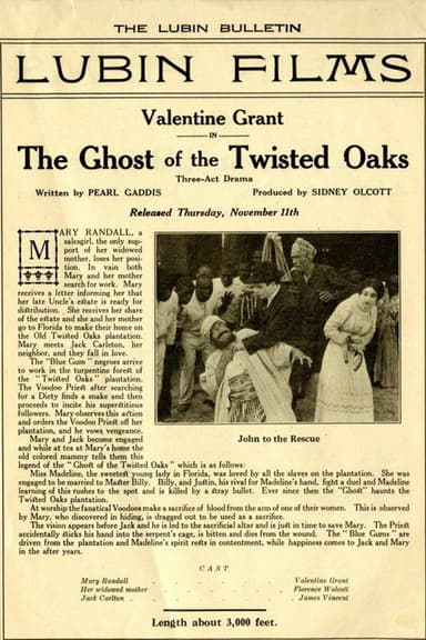 The Ghost of Twisted Oaks poster