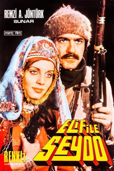 Elif ile Seydo poster