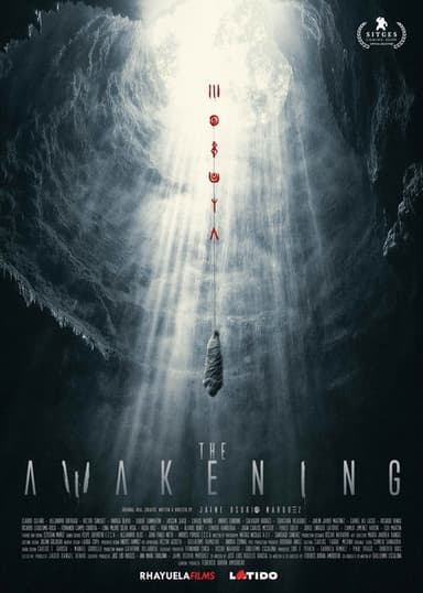 The Awakening poster