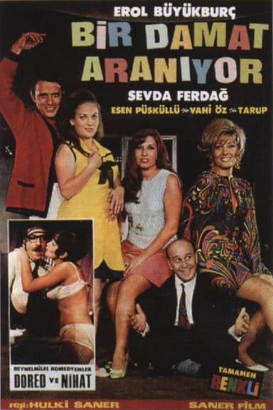 Bir Damat Aranıyor poster
