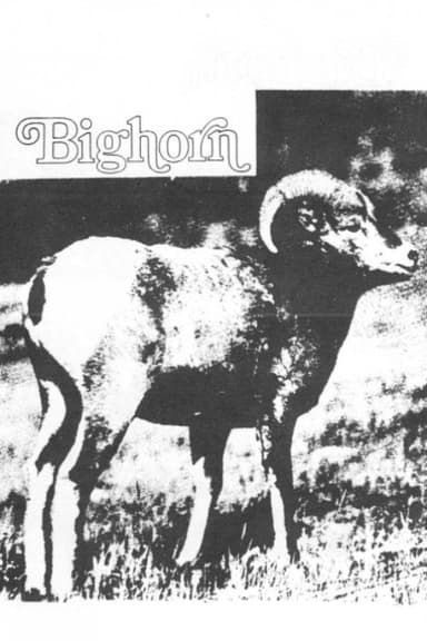 Bighorn poster