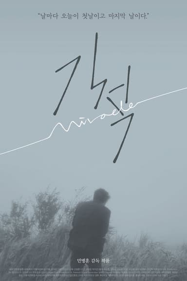 Miracle poster