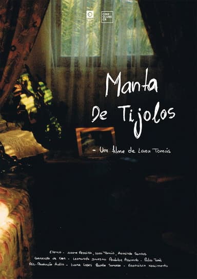 Manta De Tijolos poster