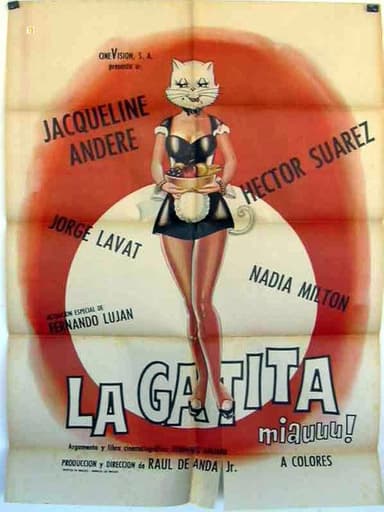 La gatita poster