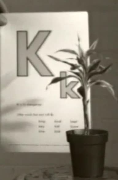 Teaching a Plant the Alphabet poster