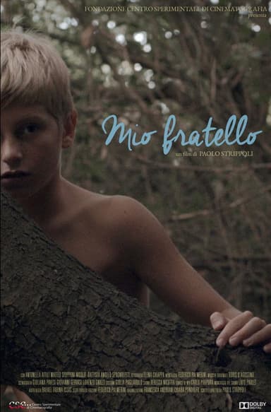 Mio Fratello poster