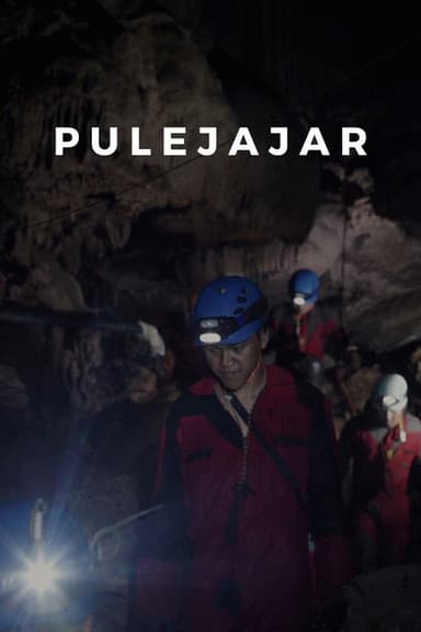 Pulejajar poster