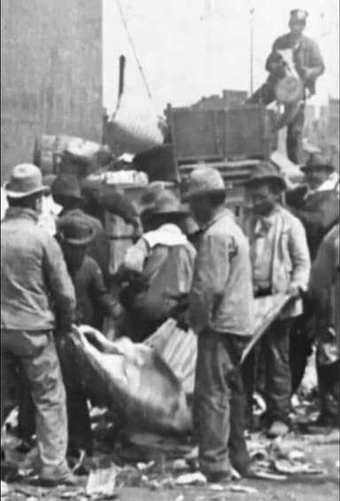 Sorting Refuse at Incinerating Plant, New York City poster