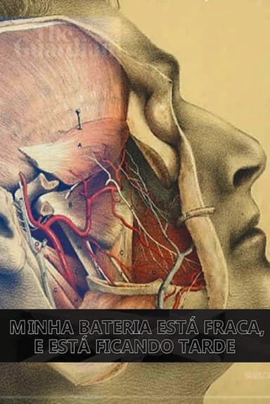 Minha Bateria Está Fraca e Está Ficando Tarde poster