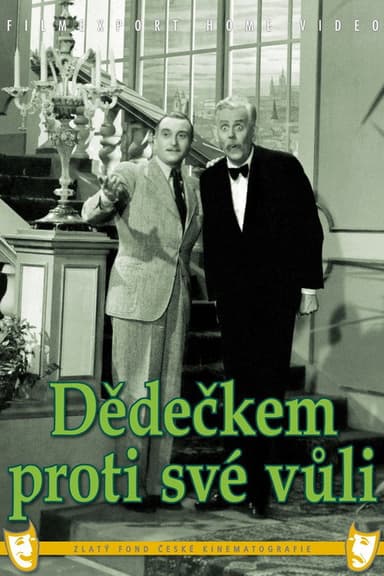 Dědečkem proti své vůli poster