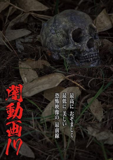 Tokyo Videos of Horror 17 poster